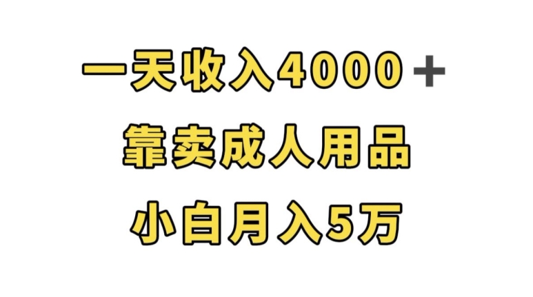 一天收入4000+，靠卖成人用品，小白轻松月入5万【揭秘】-野草计划