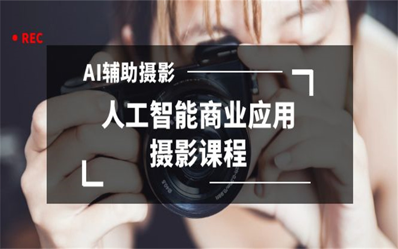 2024年AI辅助摄影人工智能商业应用摄影课程（37节课）-野草计划