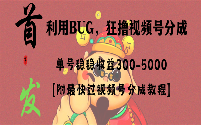 视频号BUG，超短期项目，单号每日净收益300-5000！-野草计划